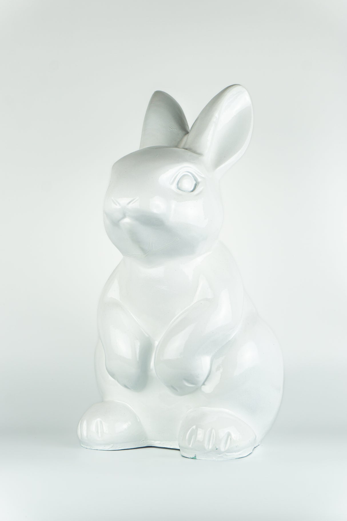 Funny Bunny