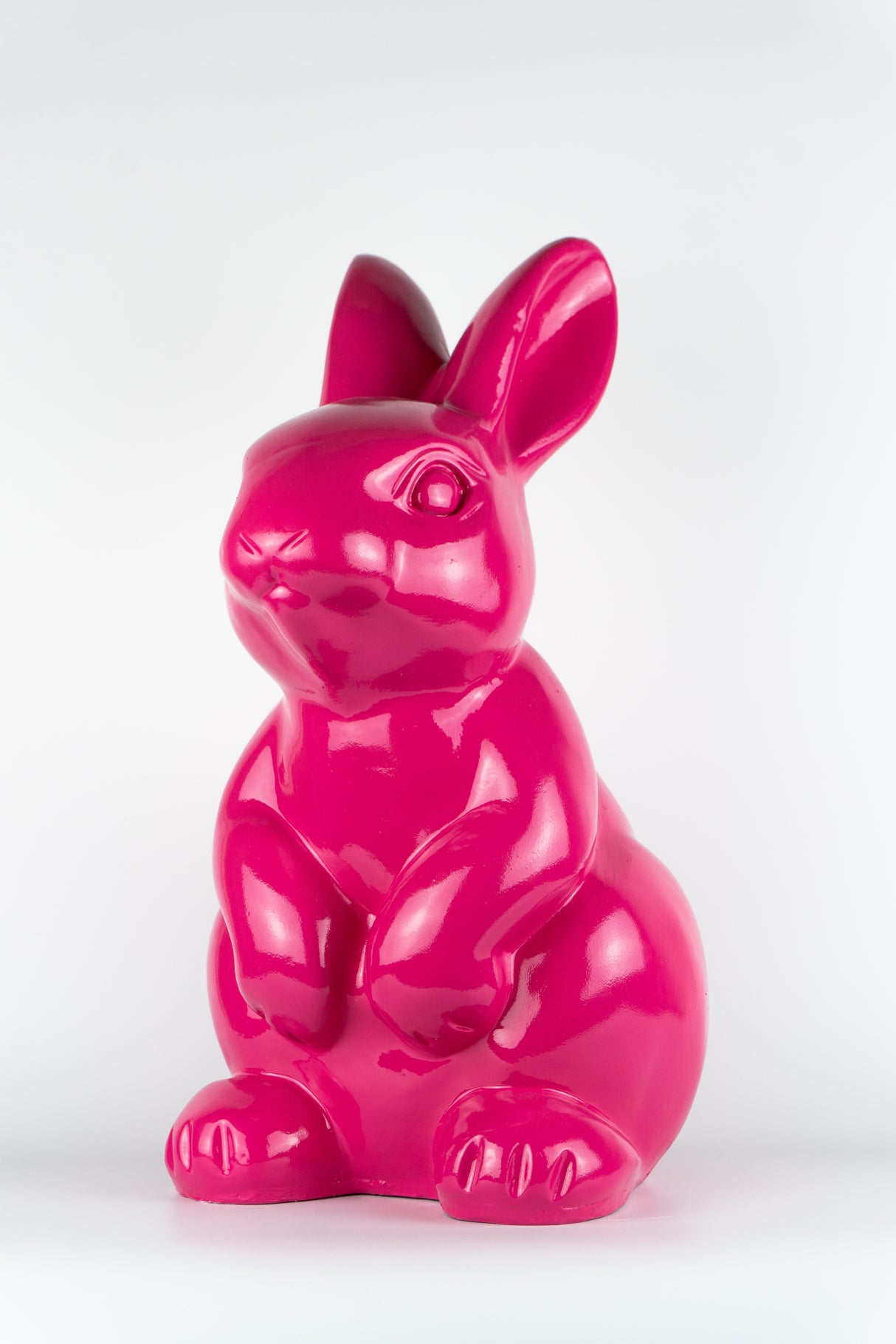 Funny Bunny