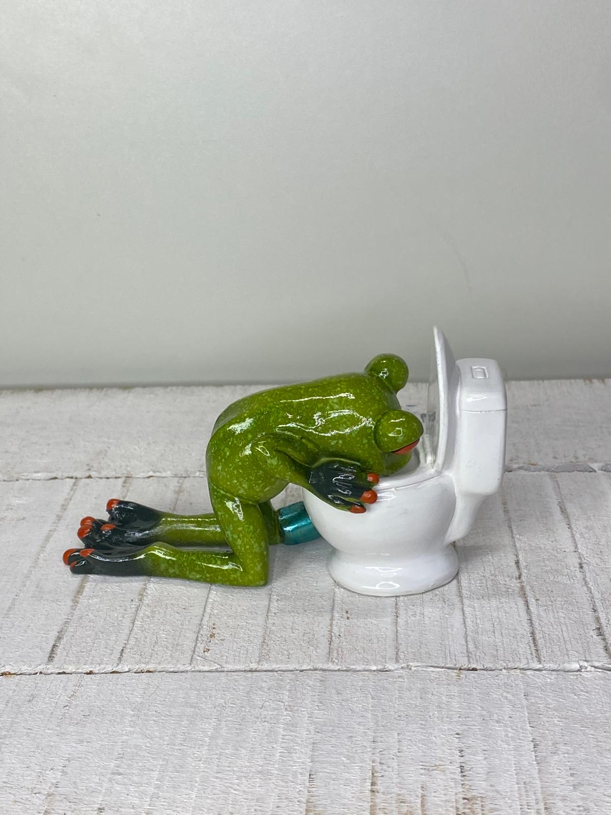 Frosch "Friedolin" Hangover - Geschenkidee