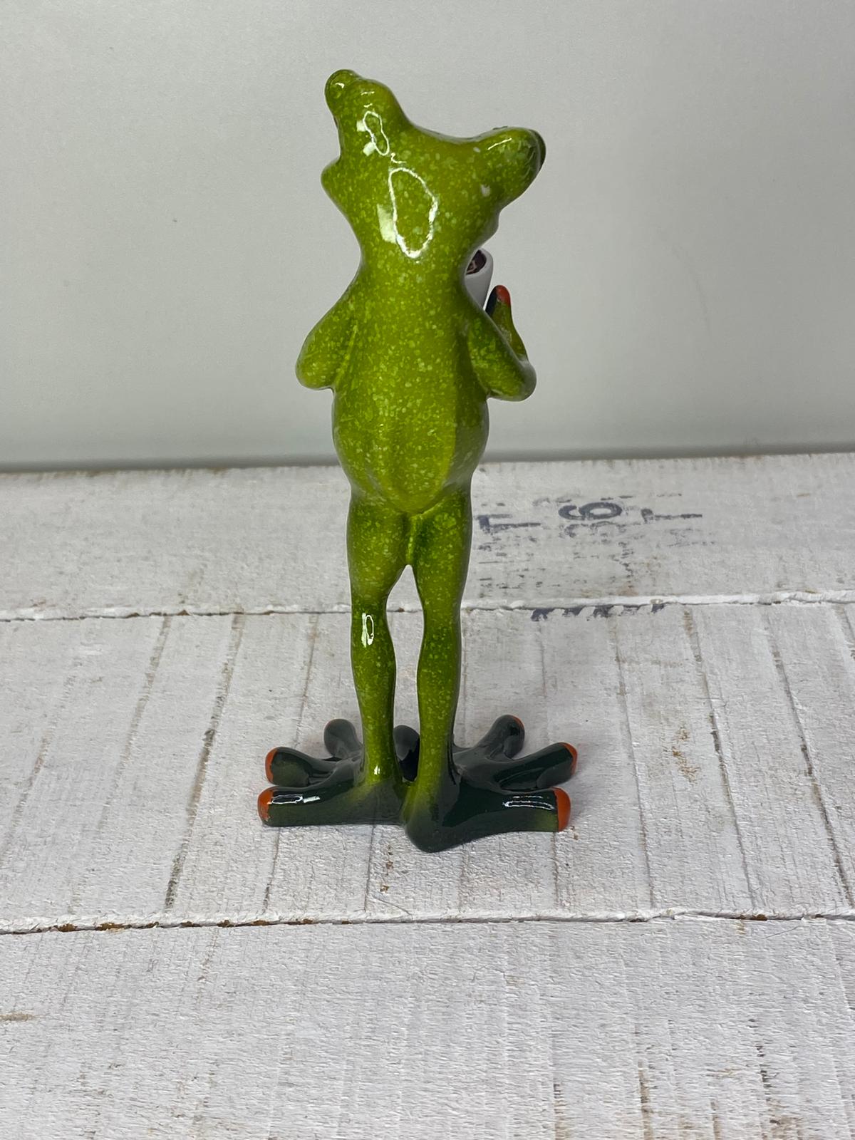 Frosch "Friedolin" Morgenmuffel - Geschenkidee