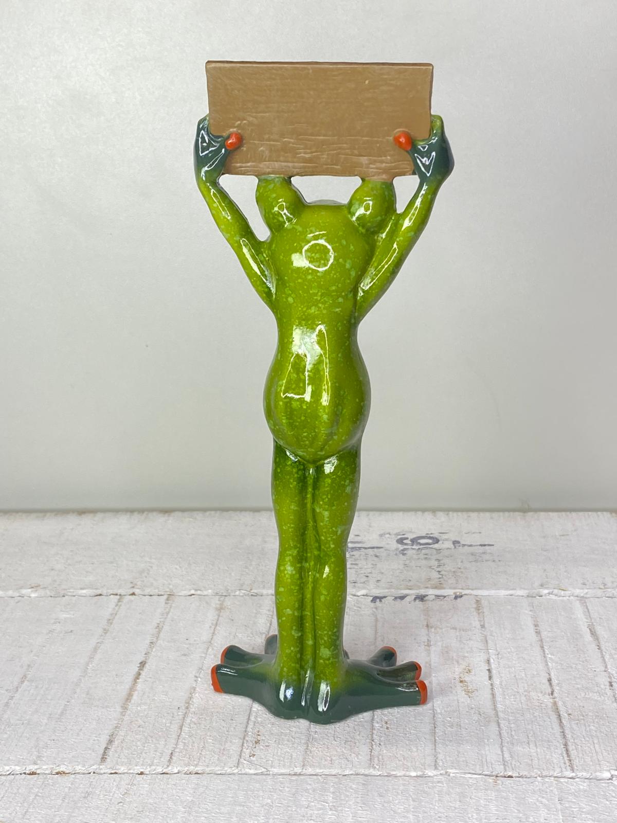 Frosch "Friedolin" Protest - Geschenkidee