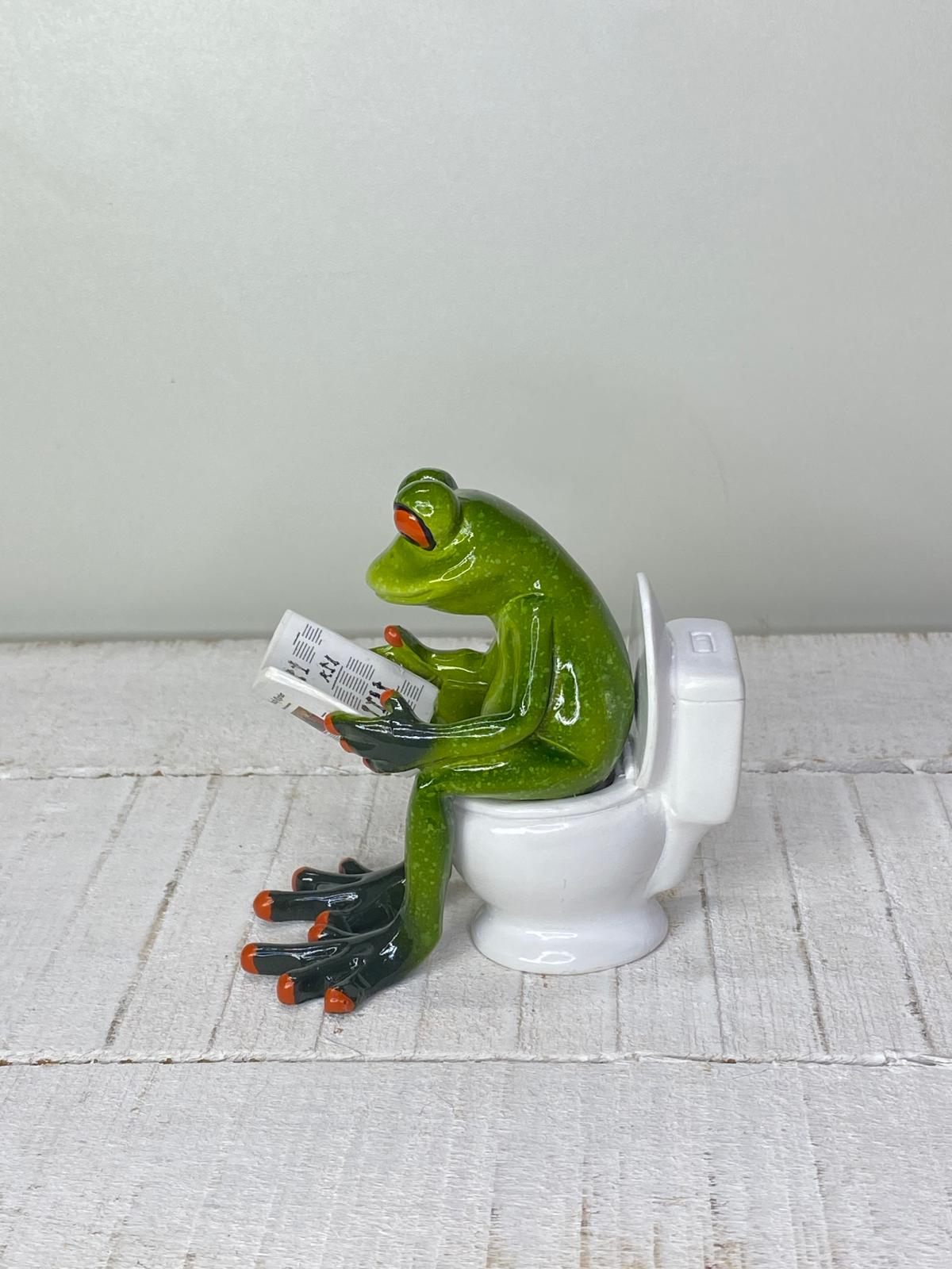 Frosch "Friedolin" Morgenroutine - Geschenkidee