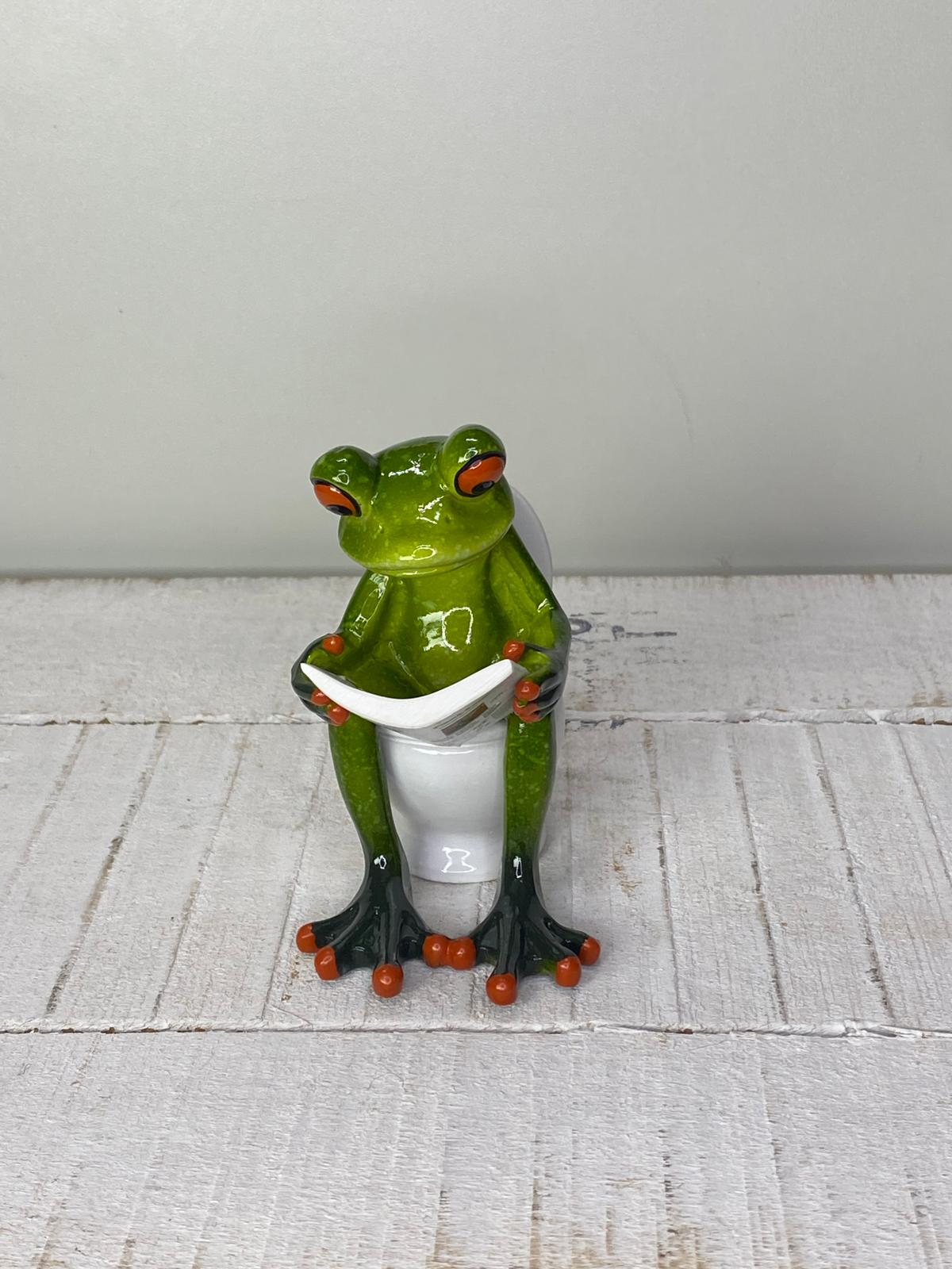 Frosch "Friedolin" Morgenroutine - Geschenkidee