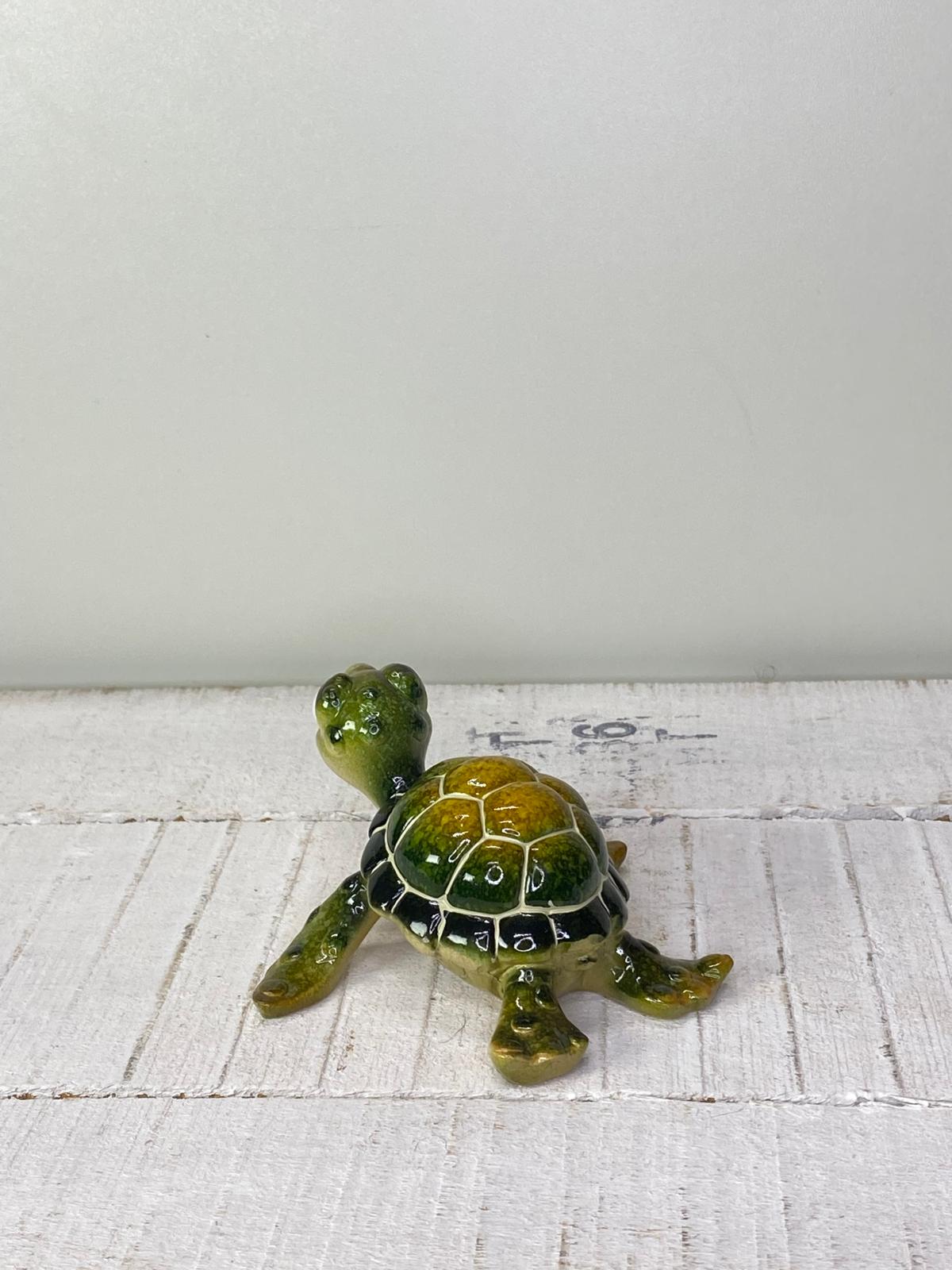 Schildkröte "Sascha" - Geschenkidee