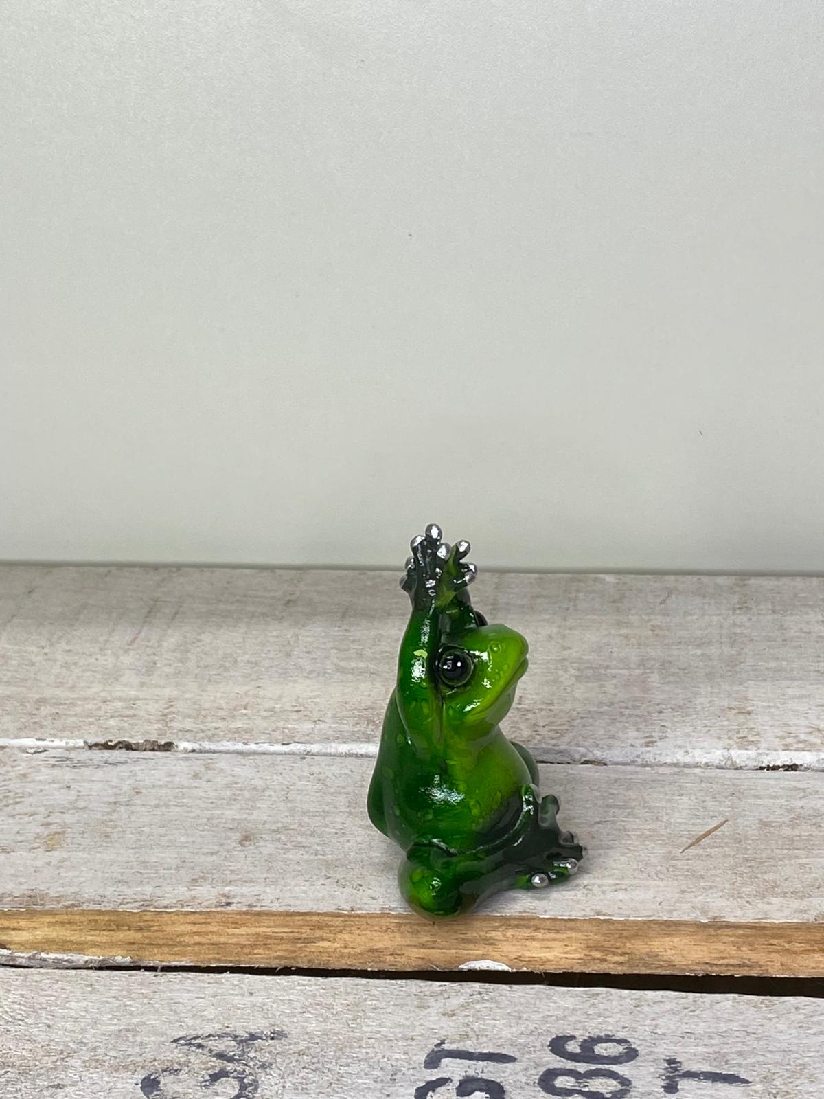 Frosch Yogi - Geschenkidee