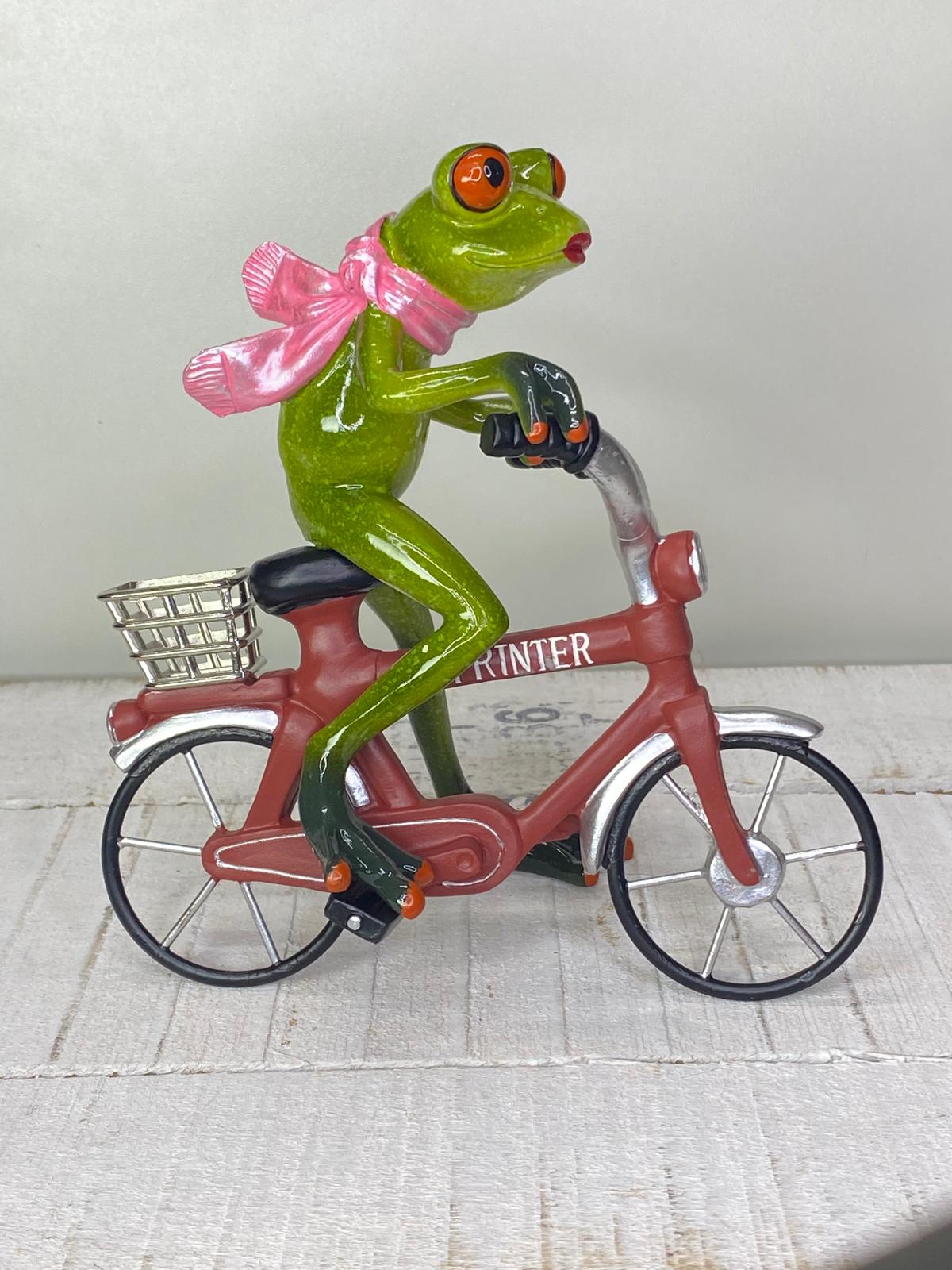 Frosch "Friedolin" Fahrrad - Geschenkidee