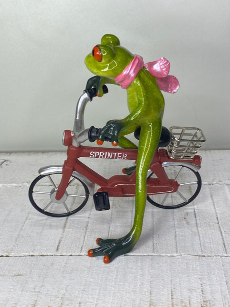 Frosch "Friedolin" Fahrrad - Geschenkidee