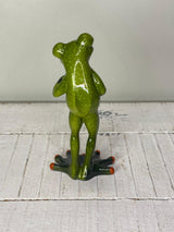 Frosch "Friedolin" Morgenmuffel - Geschenkidee