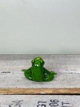 Frosch Yogi - Geschenkidee