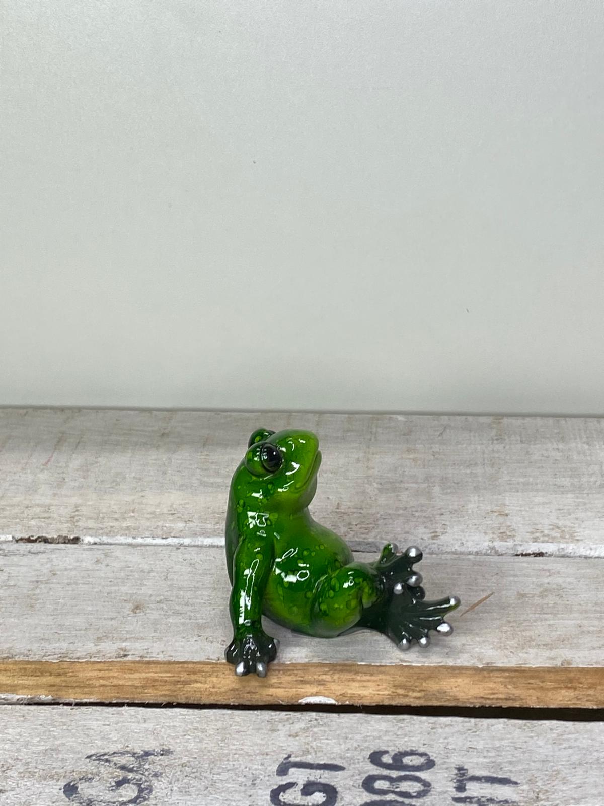 Frosch Yogi - Geschenkidee