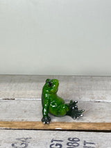Frosch Yogi - Geschenkidee