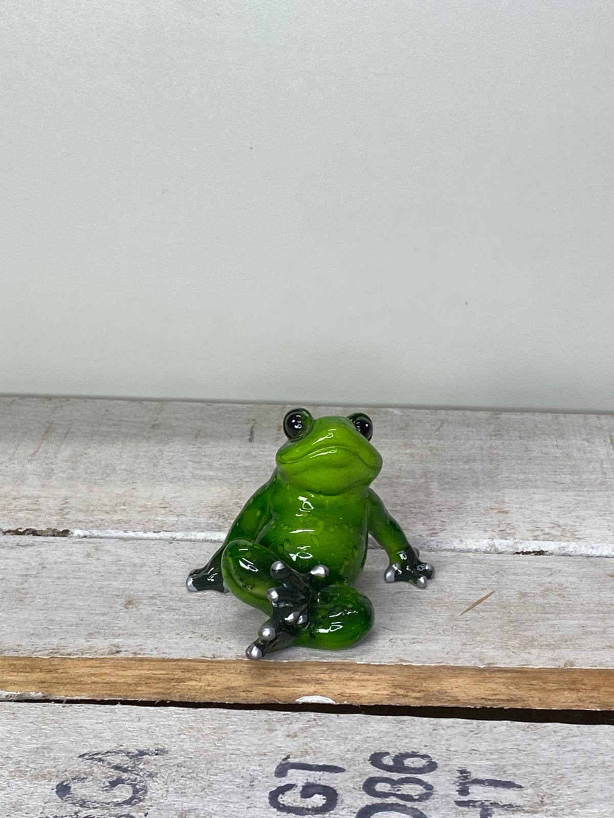 Frosch Yogi - Geschenkidee