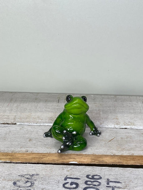 Frosch Yogi - Geschenkidee