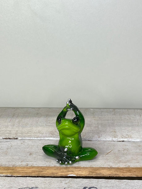 Frosch Yogi - Geschenkidee