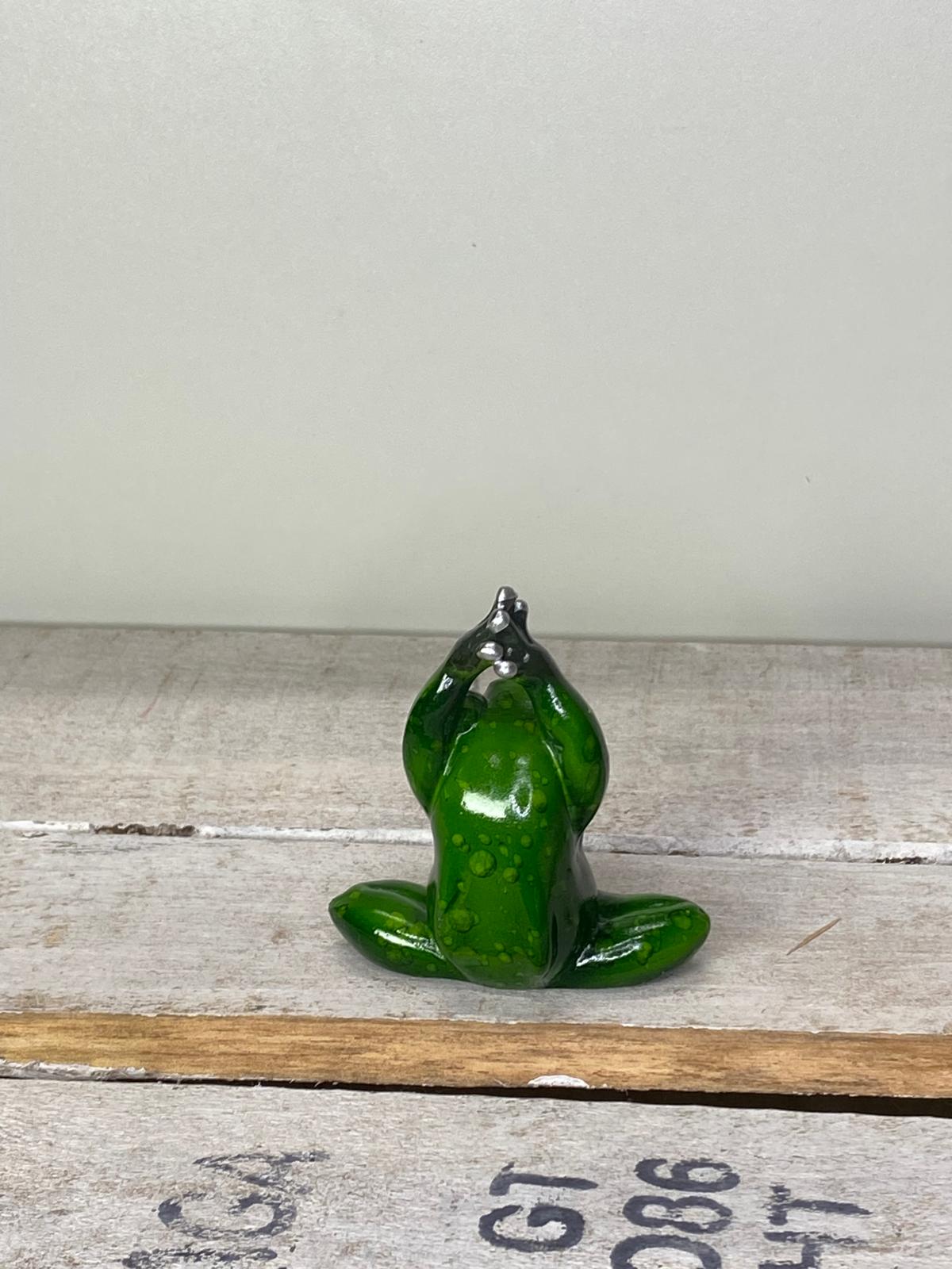 Frosch Yogi - Geschenkidee